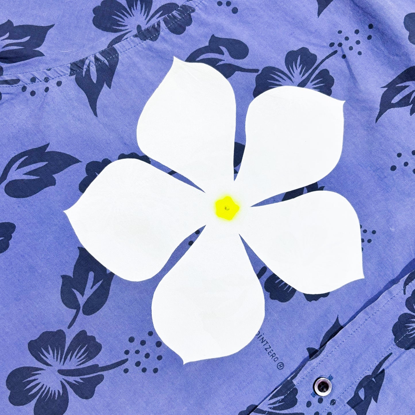 Periwinkle | Ditto