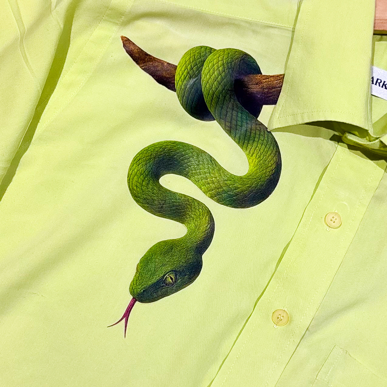 Green Forbidden Fruit
