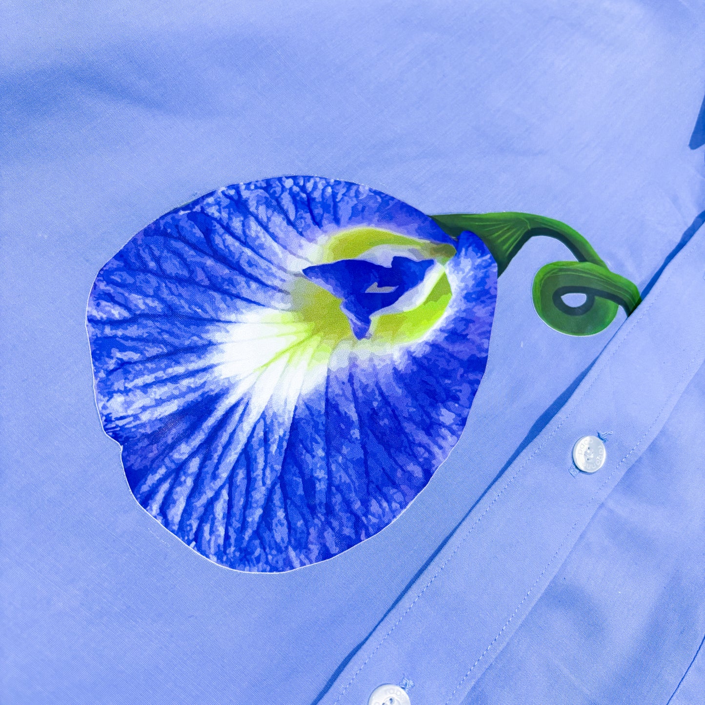 Butterfly Pea | Paco Rabanne