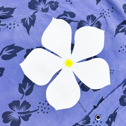 Periwinkle | Ditto