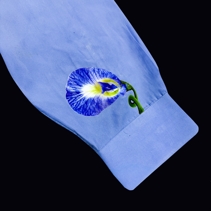 Butterfly Pea | Paco Rabanne