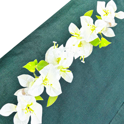 Bougainvillea | Axist